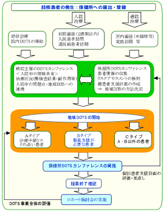 東京都版 21世紀型DOTS戦略　体系図